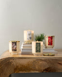 New Arrivals | Illume Candles
