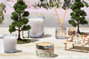 Far and Away - Illume Candles
