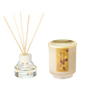 Rhubarb Honey Diffuser + Signature Glass Set