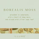 Borealis Moss Vanity Tin Candle - Illume Candles - 46263006000