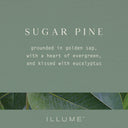 Sugar Pine Pine Glass Candle - Illume Candles - 46288059000