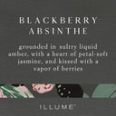 Blackberry Absinthe Demi Vanity Tin Candle